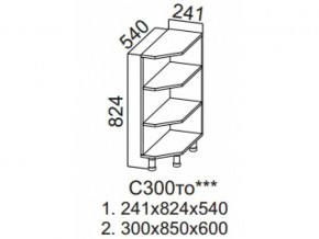 С300то Стол-рабочий 300 (торцевой открытый) в Ирбите - irbit.magazin-mebel74.ru | фото