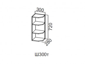 Ш300т/720 Шкаф навесной 300/720 (торцевой) в Ирбите - irbit.magazin-mebel74.ru | фото