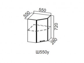 Ш550у/720 Шкаф навесной 550/720 (угловой) в Ирбите - irbit.magazin-mebel74.ru | фото