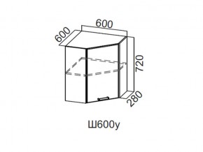 Ш600у/720 Шкаф навесной 600/720 (угловой) в Ирбите - irbit.magazin-mebel74.ru | фото