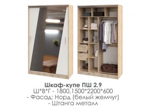 шкаф-купе ПШ-2.9 1500 Норд Белый жемчуг 1500 в Ирбите - irbit.magazin-mebel74.ru | фото