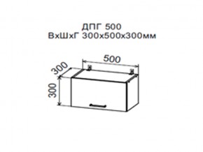 Шкаф верхний ДПГ500 горизонтальный в Ирбите - irbit.magazin-mebel74.ru | фото