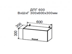 Шкаф верхний ДПГ600 горизонтальный в Ирбите - irbit.magazin-mebel74.ru | фото