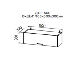 Шкаф верхний ДПГ800 горизонтальный в Ирбите - irbit.magazin-mebel74.ru | фото