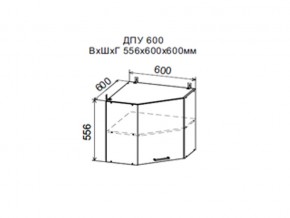 Шкаф верхний ДПУ600 угловой в Ирбите - irbit.magazin-mebel74.ru | фото